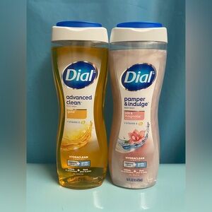Dial Body Wash 16 fl oz (2 Pack ~ Gold and Silk & Magnolia)